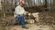 WORX Electric Chainsaw - Log Cutting